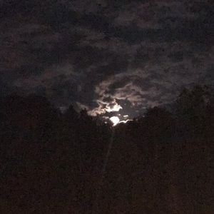 Meet your Posher, Misty